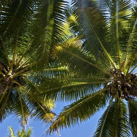 Raiatea - Studio Tenape Tevaitoa Exteriér fotografie