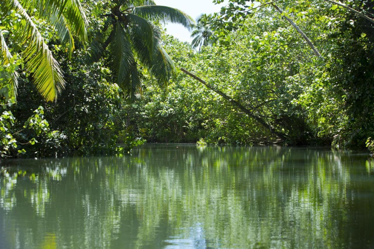 Raiatea - Studio Tenape Tevaitoa Exteriér fotografie