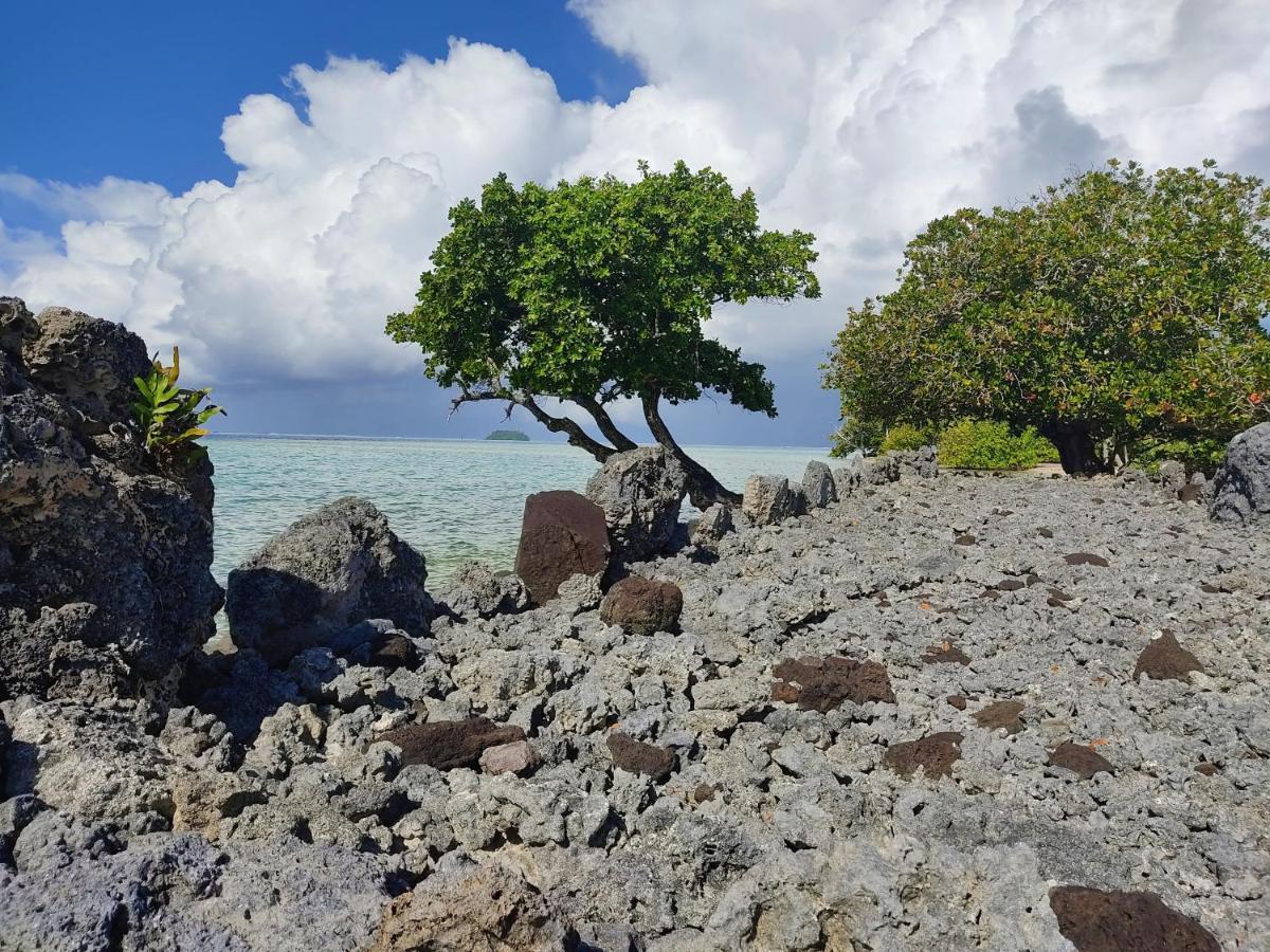Raiatea - Studio Tenape Tevaitoa Exteriér fotografie